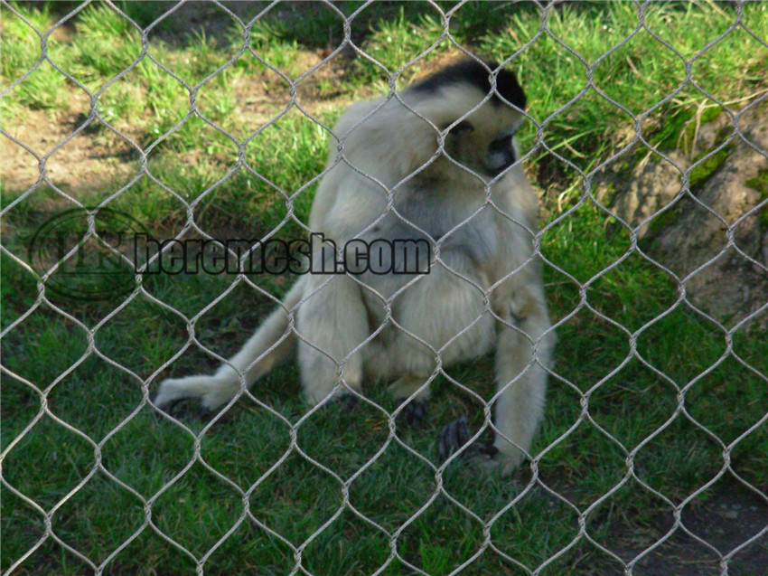 monkey enclosures