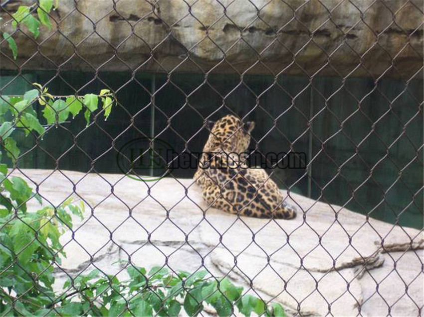 https://www.heremesh.com/wp-content/uploads/2019/03/SSLEF-Stainless-steel-leopard-enclosure-fence-2.jpg