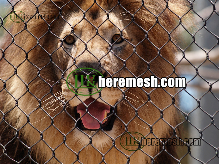  Lion mesh  supplier Lion  fence manufacturer Liulin wire 