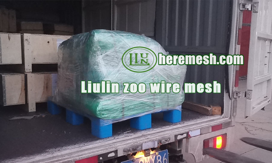 delivery of the ferrule mesh