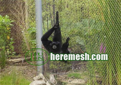 Monkey Enclosures Mesh