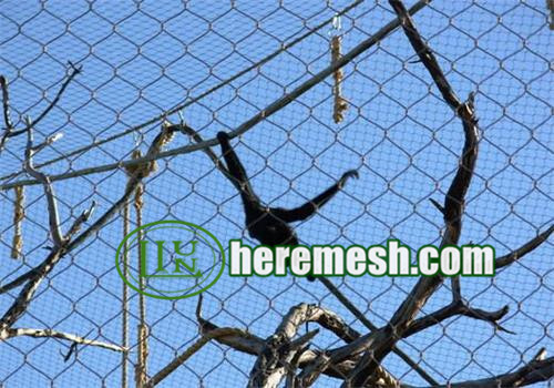 Orangutans Enclosures Mesh