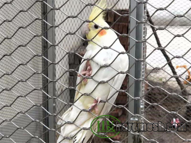 Parrot Aviary Mesh