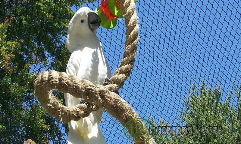 Parrot Aviary Mesh