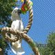 Parrot Aviary Mesh