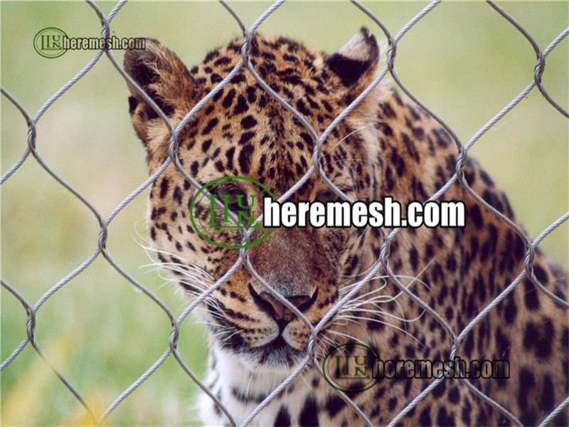 zoo mesh leopard enclosure fence