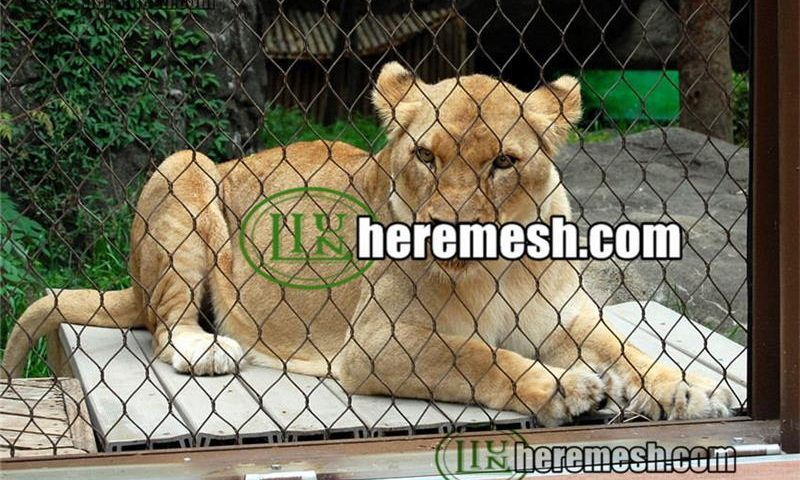 zoo-mesh-lion-fence-mesh