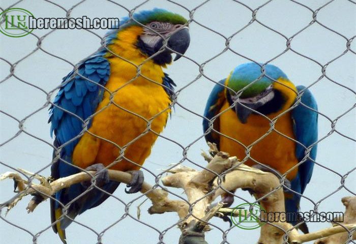 Parrots Netting, Parrots Fence, Parrots Aviary Mesh, Macaw Netting, Macaw Fence, Macaw Aviary Mesh