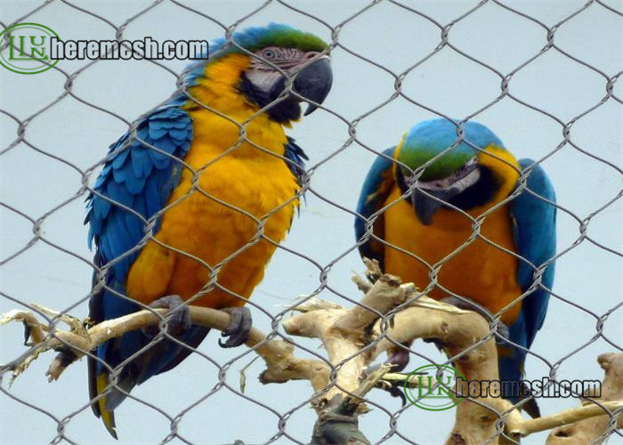 Parrots Netting, Parrots Fence, Parrots Aviary Mesh, Macaw Netting, Macaw Fence, Macaw Aviary Mesh