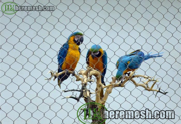 Parrots Netting, Parrots Fence, Parrots Aviary Mesh, Macaw Netting, Macaw Fence, Macaw Aviary Mesh