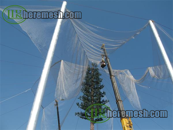 Bird Aviary Mesh Installation