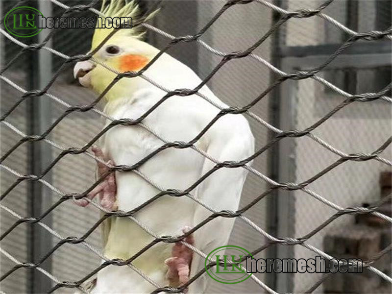 Bird Cage Mesh