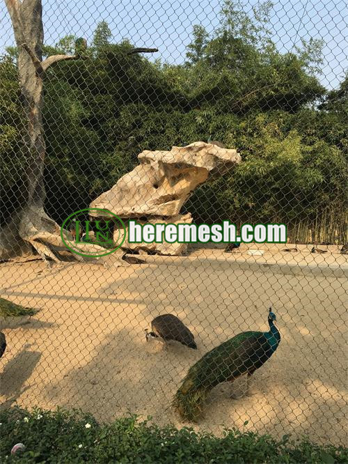 Peacock Cage Mesh And Fence Mesh