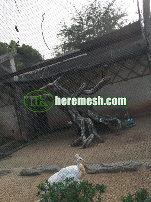 Peacock Cage Mesh And Fence Mesh