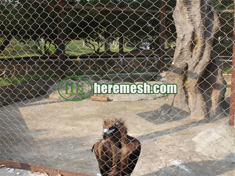 raptor exhibition mesh