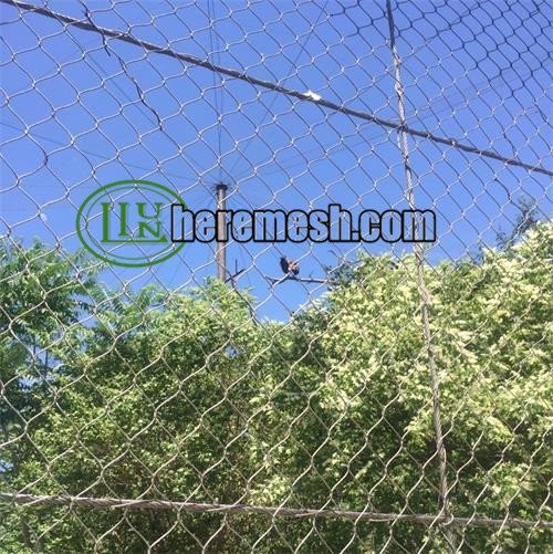 Aviary Mesh For Large Birds