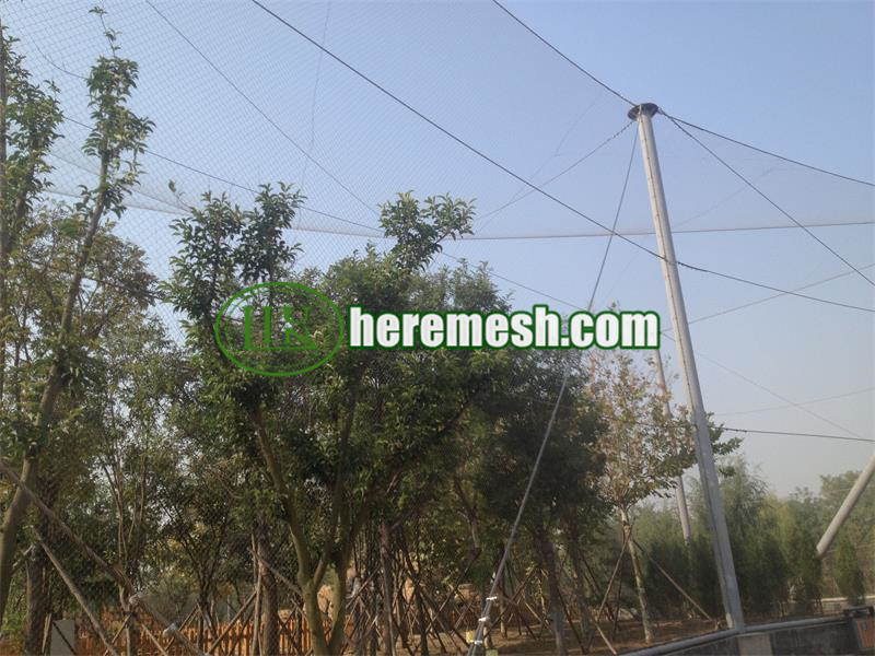 Bird Aviary Netting China Supplier