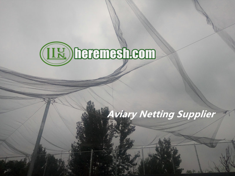 Aviary Netting Supplier