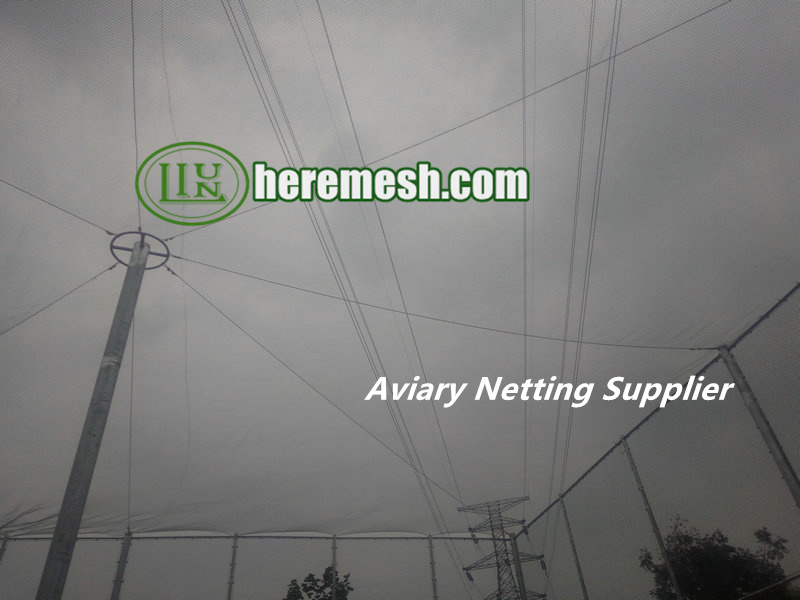 Aviary Netting Supplier