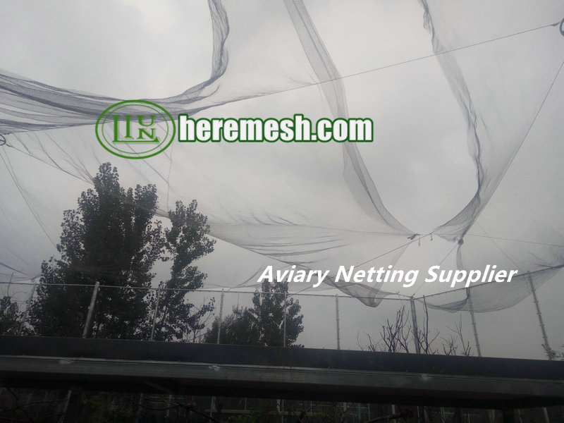 Aviary Netting Supplier