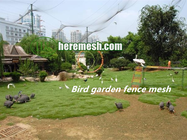 Bird Garden Fence Mesh