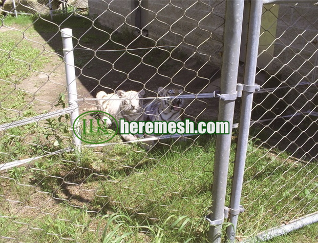 Stainless Steel Animal Fence Netting