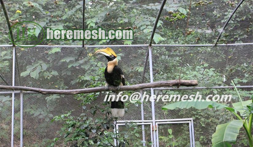 Toucan Aviary Mesh