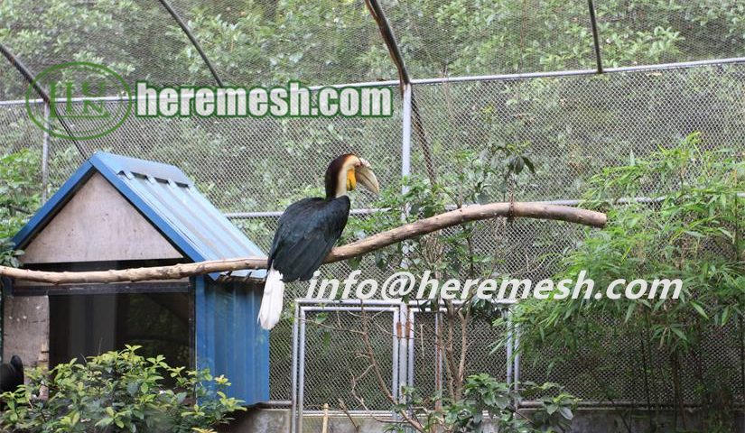 Toucan Aviary Mesh