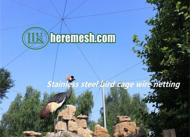 Stainless Steel Bird Cage Wire Netting