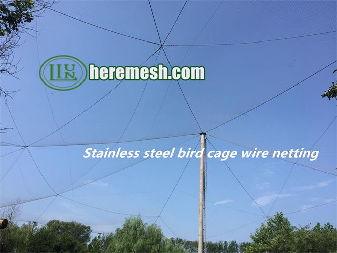 Stainless Steel Bird Cage Wire Netting