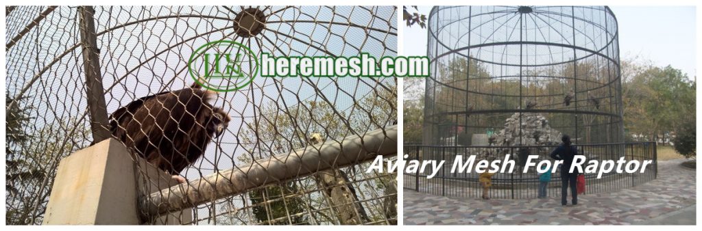 Aviary Mesh For Raptor