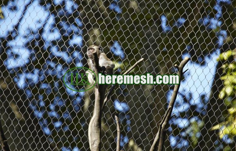 Monkey Enclosure Cage Mesh