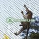 Flexible Primate Enclosure Mesh