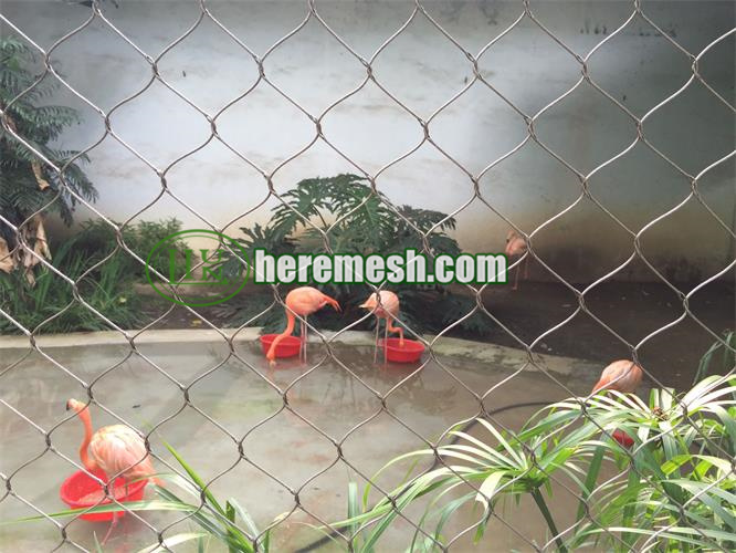 flamingo fence netting