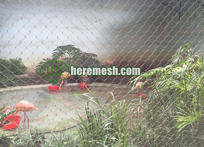 flamingo fence netting