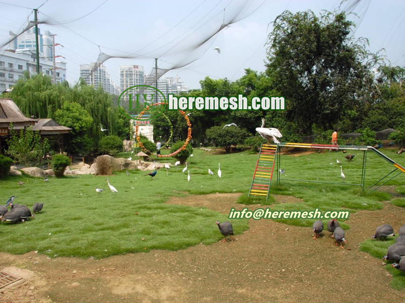 Wire Rope Mesh For Bird Forest Aviary