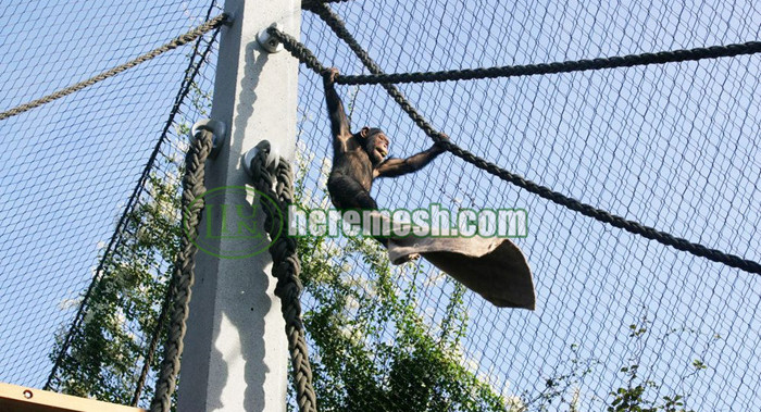 Zoo Monkey Exhibit Enclosure Mesh