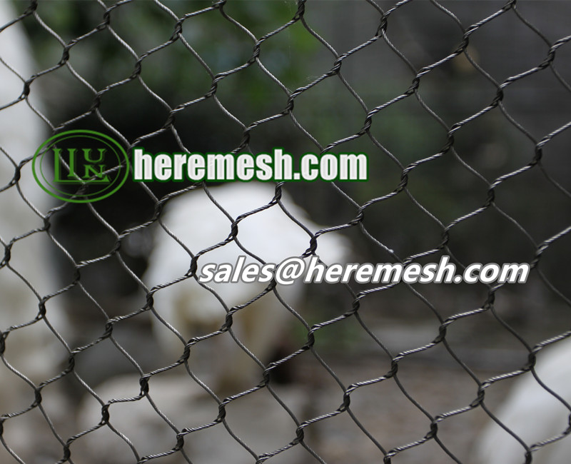 Black Oxide Zoo Mesh