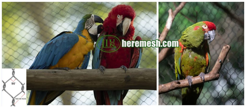 Wire Cable Mesh For Macaw Parrot