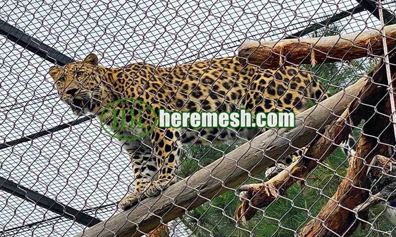 leopard enclosure mesh