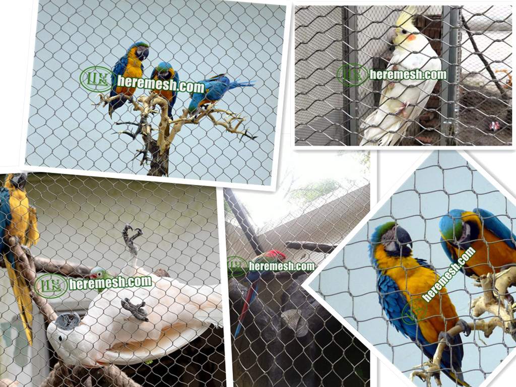 Macaw Cage Mesh & Macaw Cage Netting