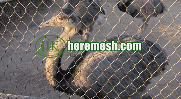 Ostrich Enclosure Fence Mesh