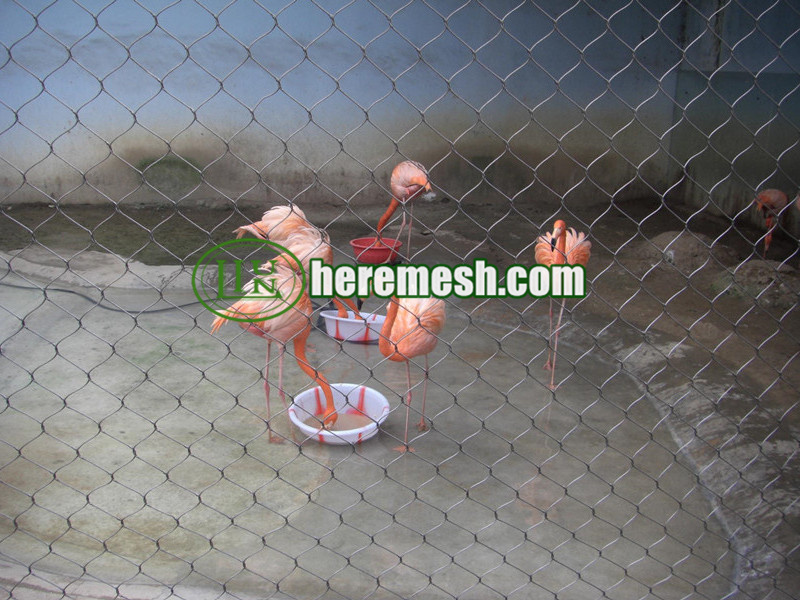 Flamingo fence mesh