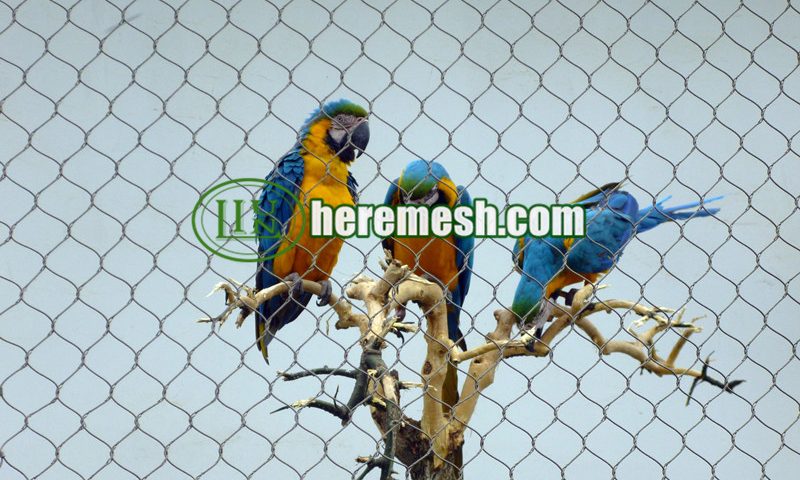 Macaw aviary mesh