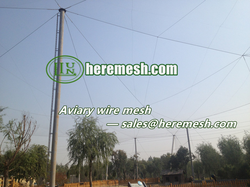 Aviary Wire Mesh