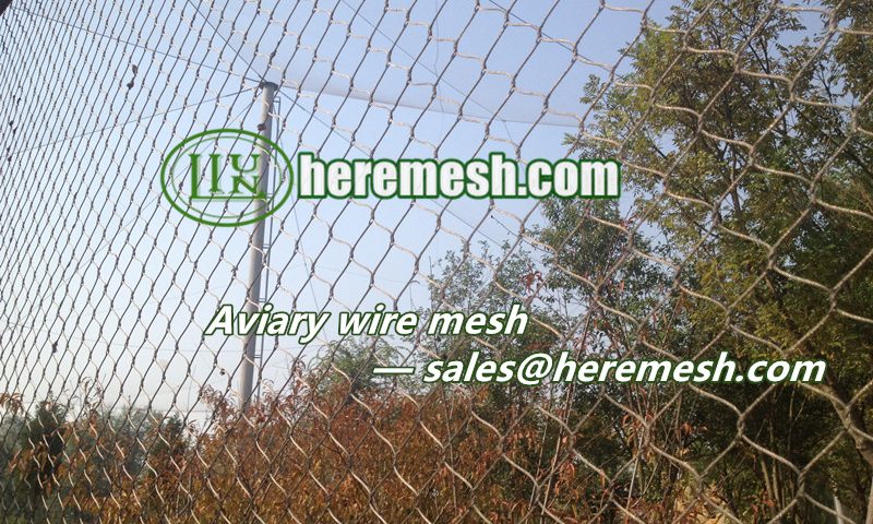 Aviary Wire Mesh