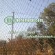 Aviary Wire Mesh