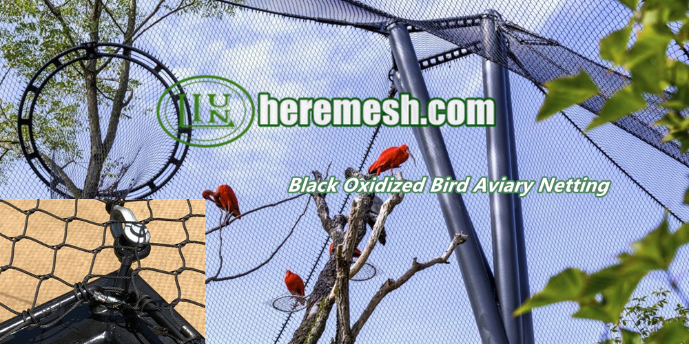 Wire Mesh For Birds