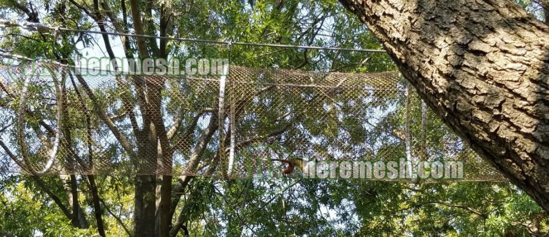 monkey enclosure cage mesh