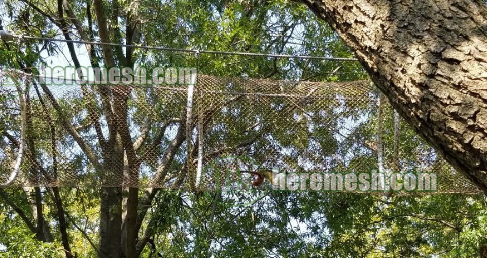 monkey enclosure cage mesh